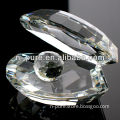 Blank Clear Crystal Glass Shell